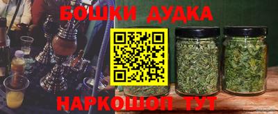 ГАЛЛЮЦИНОГЕННЫЕ ГРИБЫ Сланцы