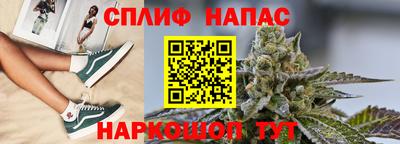 ГАЛЛЮЦИНОГЕННЫЕ ГРИБЫ Сланцы