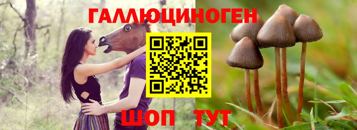 Галлюциногенные грибы мухоморы  Вход с VPN  Нефтекамск 